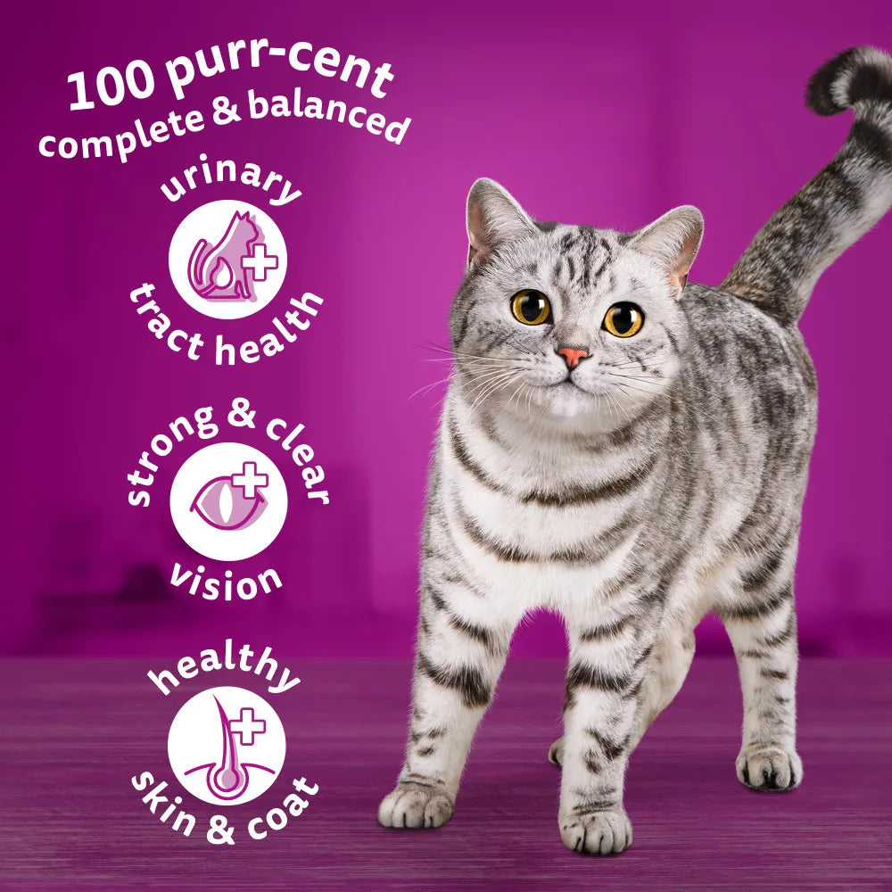 7kg Whiskas 1+ Adult Complete Dry Cat Food Chicken Bulk Pack Cat Biscuits